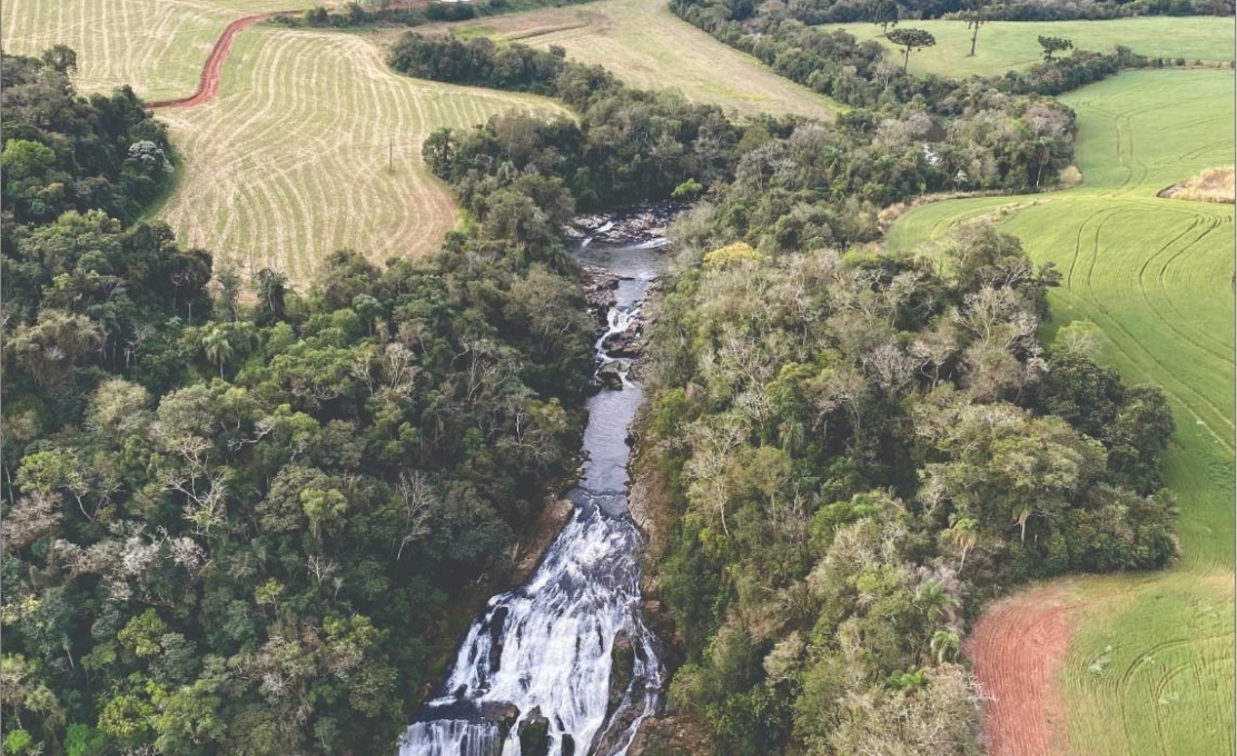 EstaÇÃo EcolÓgica Por Biodiversidade Cachoeira