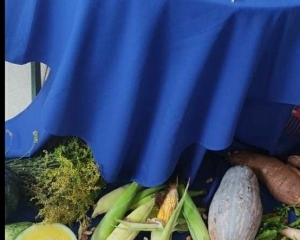 anyconvcomagricultura-viii_(323).jpg
