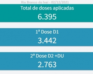 total-de-doses-aplicadas.jpeg