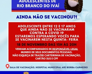 vacinometro.jpeg